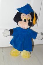 Disney knuffels en handpoppen 11 stuks., Ophalen of Verzenden, Zo goed als nieuw, Overige typen