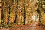 te koop gevraagd bos, bosgrond, natuurterrein, Ophalen