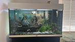 Juwel aquarium 120 liter, Ophalen, Zo goed als nieuw, Gevuld zoetwateraquarium