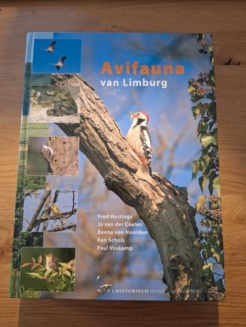 Avifauna van Limburg beschikbaar voor biedingen