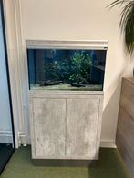 Aquatlantis aquarium 80x150, Dieren en Toebehoren, Vissen | Aquaria en Toebehoren, Ophalen, Gebruikt, Gevuld zoetwateraquarium