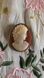 Celluloid camee, Sieraden, Tassen en Uiterlijk, Antieke sieraden, Ophalen of Verzenden, Overige materialen, Broche