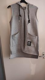 Leuke bodywarmer, Ophalen of Verzenden, Zo goed als nieuw, Maat 42/44 (L), Grijs