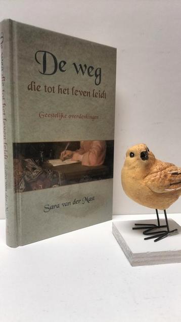 Mast, Sara van der; De weg die tot het leven leidt beschikbaar voor biedingen