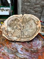 prachtige plak versteend hout met bijzondere chalcedoongroei, Ophalen of Verzenden, Fossiel