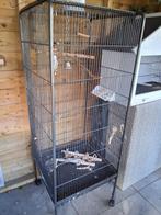 Grote vogelkooi binnen, Dieren en Toebehoren, Ophalen of Verzenden, Gebruikt, Metaal, Vogelkooi