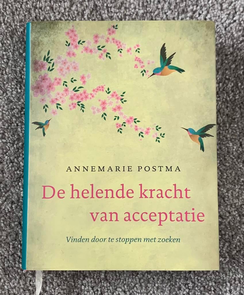 De helende kracht van acceptatie - Annemarie Postma, Verzenden, Zo goed als nieuw, Spiritualiteit algemeen, Achtergrond en Informatie