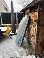 Thule Ocean 200 Ski-box, Auto diversen, Dakkoffers, Ophalen, Zo goed als nieuw