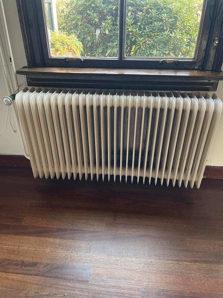 Ledenradiatoren, Doe-het-zelf en Verbouw, Verwarming en Radiatoren, Gebruikt, Radiator, 30 tot 80 cm, Minder dan 60 cm, Ophalen
