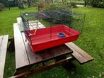 Cavia kooi, Dieren en Toebehoren, Knaagdieren en Konijnen | Hokken en Kooien, Kooi, Gebruikt, 75 tot 110 cm, Cavia