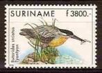 Suriname 1003 postfris Vogel 1998, Postzegels en Munten, Postzegels | Suriname, Ophalen of Verzenden, Postfris