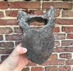 Mammoetwervel Noordzee Fossiel, Ophalen of Verzenden, Fossiel