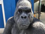 ‼️XL Gorilla 180kg gegoten steen aap berggorilla zilverrug‼️, Ophalen, Nieuw, Beton, Dierenbeeld