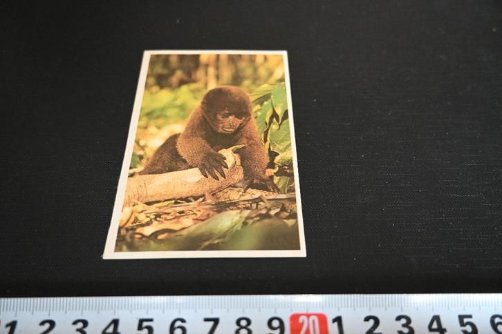 sticker ESSO  Aap, Verzamelen, Stickers, Zo goed als nieuw, Ophalen