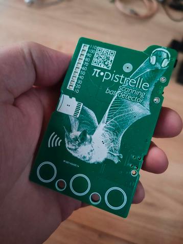 Batdetector Pipistrelle, heterodyne en time expansion  beschikbaar voor biedingen