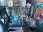 Kooi 75x53x48, Dieren en Toebehoren, Hondenhokken, Ophalen of Verzenden, Zo goed als nieuw, Minder dan 65 cm