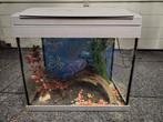 Te koop aquarium met toebehoren, Dieren en Toebehoren, Ophalen, Gebruikt, Leeg aquarium