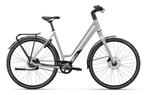 KOGA F3 4.0 RIGID LADY Dames Dawn Grey High Gloss 56cm 2025, 56 cm of meer, Nieuw, Overige merken