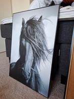 Paardeposter op verhard board met lijst, Gebruikt, 50 tot 75 cm, Ophalen of Verzenden, Schilderij