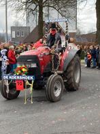 Carnaval kost ons de kop, Ophalen of Verzenden, Gebruikt, Carnaval