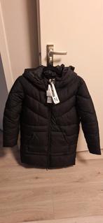 Zwarte gewatteerde winterjas van Noisy May, Ophalen of Verzenden, Nieuw, Zwart