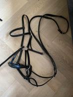 Waldhausen bitloos hoofdstel Linda Tellington maat Cob, Dieren en Toebehoren, Paarden en Pony's | Hoofdstellen en Tuigage, Ophalen of Verzenden