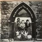 Edgar Broughton Band / Sing brother sing, Ophalen of Verzenden, Zo goed als nieuw, 12 inch, Alternative