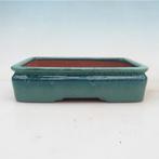 bonsaischaal 21.5x17x5.5cm,  nieuw en ongebruikt, Tuin en Terras, Planten | Bomen, Ophalen of Verzenden, Volle zon, Overige soorten
