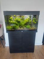 Compleet Juwel Rio 125 Led Aquarium incl onderkast - Zwart, Ophalen, Zo goed als nieuw, Gevuld zoetwateraquarium