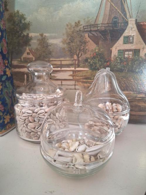 Kauri schelpen New Guinea appel peer glazen pot., Antiek en Kunst, Antiek | Woonaccessoires, Ophalen of Verzenden