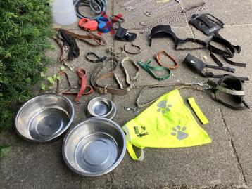 Veel honden-/kattenriemen/tuigjes/manden/kraag/etensbak enz. beschikbaar voor biedingen