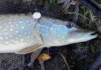 Set van 2 Bullock Baars-Snoekspinners met Nikkel Flaptail, Ophalen of Verzenden, Nieuw, Kunstaas