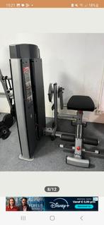 De Body Solid Pro Dual Line buikspieren back extension, Ophalen, Zo goed als nieuw, Overige typen