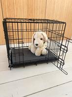 Keurige bench voor hond of ander dier 58 x 42 cm, Ophalen, Zo goed als nieuw