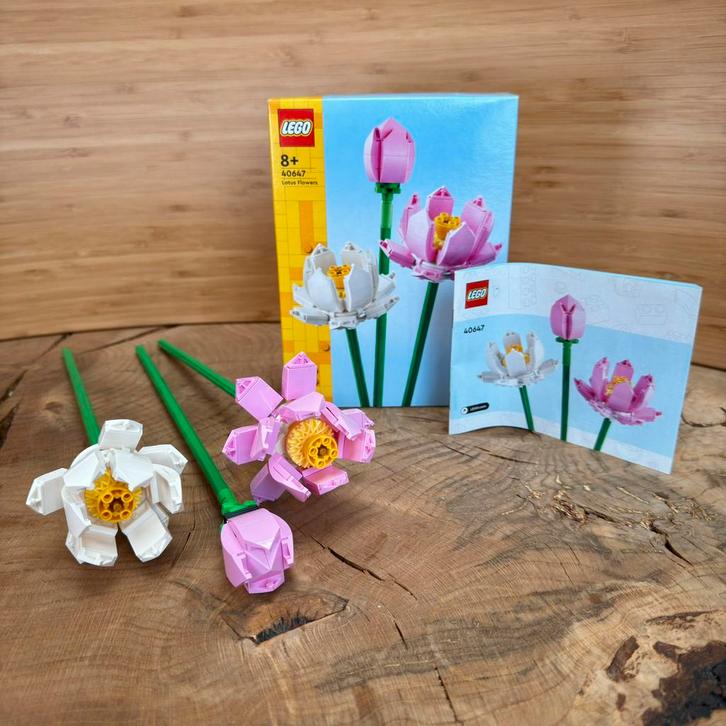 40647 - LEGO Iconic Lotusbloemen - Bontanical Collection, Kinderen en Baby's, Speelgoed | Duplo en Lego, Gebruikt, Lego, Complete set