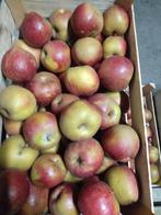 Goudrenetten appels, Ophalen