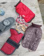 3 hondenjasjes & 2 hondentuigjes kleinere  hond, Dieren en Toebehoren, Ophalen of Verzenden, Zo goed als nieuw