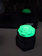 Glow in the Dark Roos met Hexagonale Basis, Ophalen of Verzenden, Nieuw