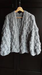 Mohair vest, Kleding | Dames, Truien en Vesten, Ophalen of Verzenden, Nieuw