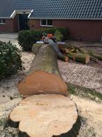Boomen / struiken verwijderen / afvoeren aangeboden