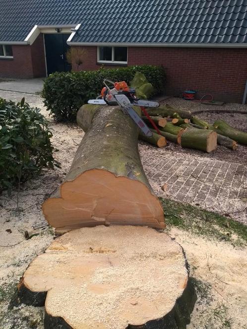 Boomen / struiken verwijderen / afvoeren aangeboden, Diensten en Vakmensen, Tuinmannen en Stratenmakers