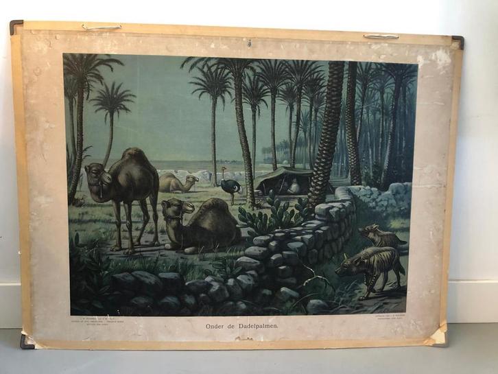 Mooie oude schoolplaat, Antiek en Kunst, Kunst | Schilderijen | Klassiek, Ophalen