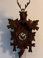 Koekoeksklok met hertenkop en mooi gewei, Ophalen