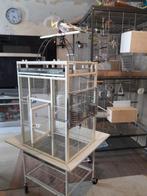4 x valekparkieten vogel kooi, Ophalen, Zo goed als nieuw, Metaal, Vogelkooi