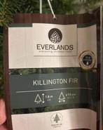 Kerstboom Everlands, Diversen, Ophalen of Verzenden, Nieuw