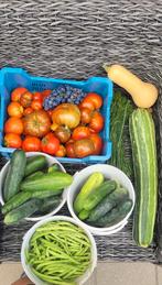 Bio groenten €2 kilo, Tuin en Terras, Volle zon, Groenteplanten, Eenjarig, Ophalen of Verzenden