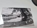 Zuidlaren  havengezicht, Ophalen of Verzenden, Voor 1940, Zo goed als nieuw