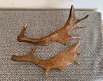 2x afwerpstang/gewei, Ophalen of Verzenden, Zo goed als nieuw, Beeldje of Figuurtje