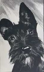 portret hond schotse terrier SCOTTISH TERRIER, Verzenden, 1940 tot 1960, Ongelopen, Overige thema's