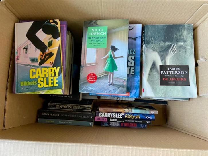 VERZAMELING BOEKEN TE KOOP, Boeken, Partijen en Verzamelingen, Gelezen, Verschillende onderwerpen, Ophalen of Verzenden